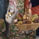 2 personnes tenant des champignons