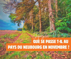 Encart actualité Novembre