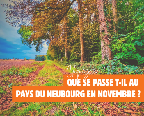 Encart actualité Novembre