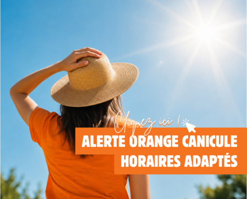 Encart Canicule