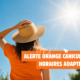 Encart Canicule