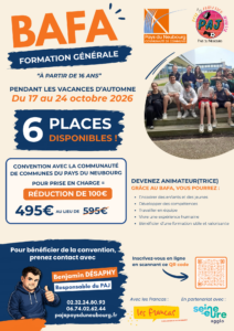 Affiche BAFA